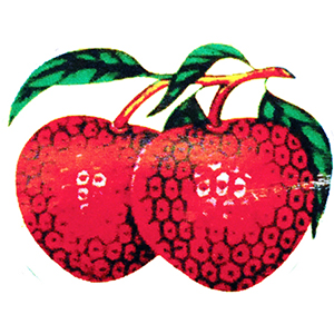 image presents Lychee-logo
